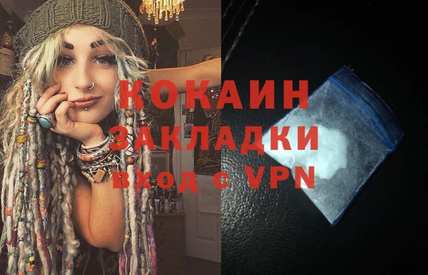 хмурый Белокуриха