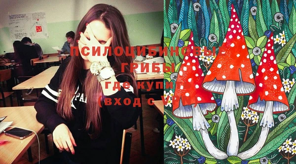 хмурый Белокуриха