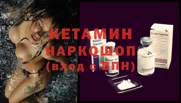 хмурый Белокуриха