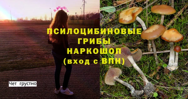 герыч Бугульма
