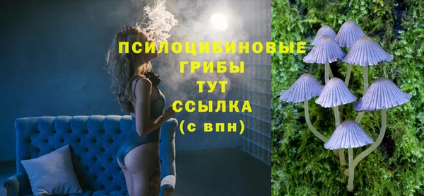 марки nbome Бородино