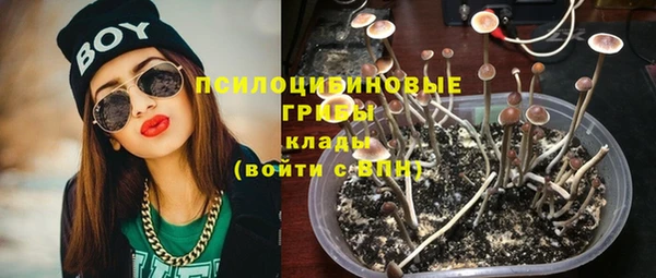соль ск Сясьстрой
