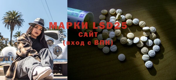 хмурый Белокуриха